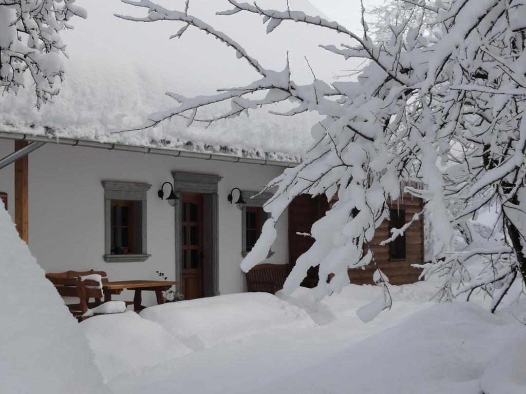 Farm Stay Dolinar Krainer Bohinjska Bela Exterior photo